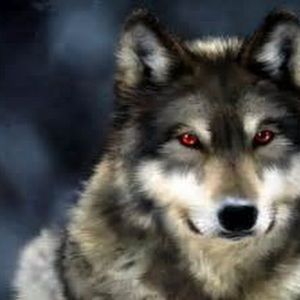 Meet your Posher, Darkkillerlol9